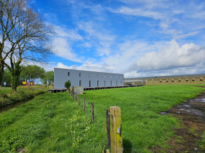 Haven Rijksstraatweg Sassenheim - Sassenheim